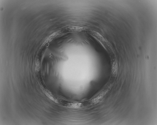 X0000081610474200702051359