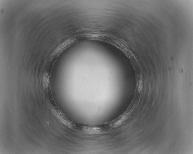 X0000081610476200702051359