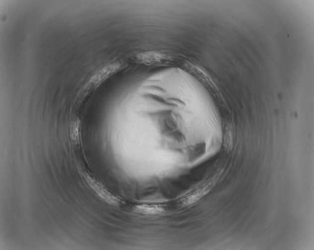 X0000081610477200702051359