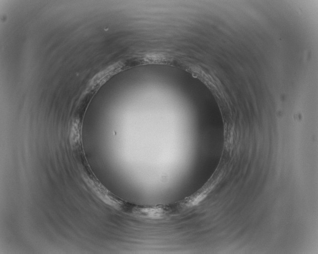 X0000081610478200702051359