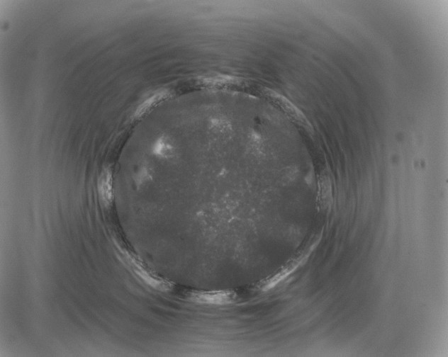 X0000081610479200702051359