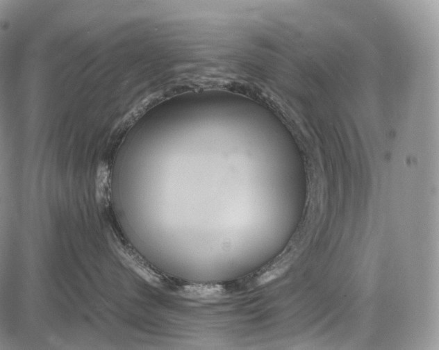 X0000081610480200702051359