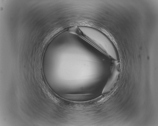 X0000081610481200702051358