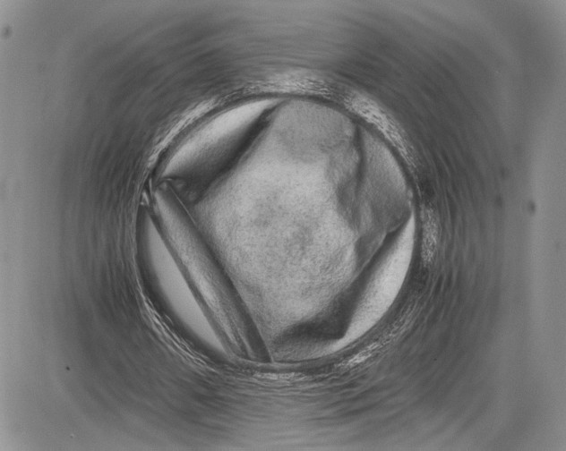 X0000081610482200702051358