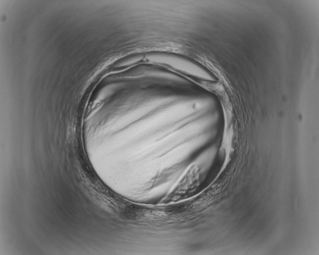 X0000081610483200702051358