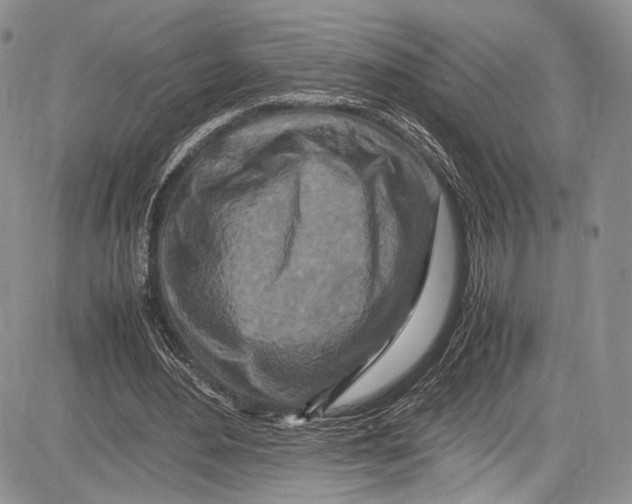 X0000081610484200702051358