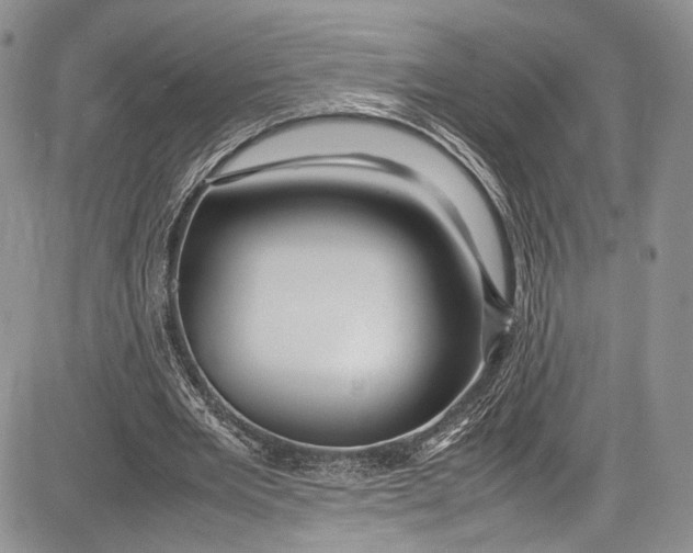 X0000081610485200702051358