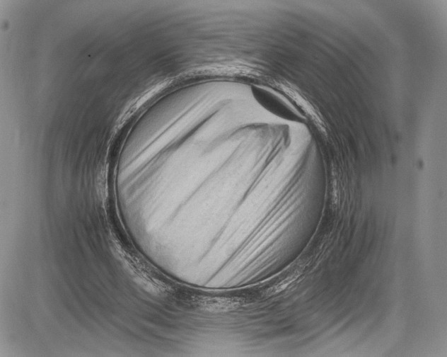 X0000081610486200702051358