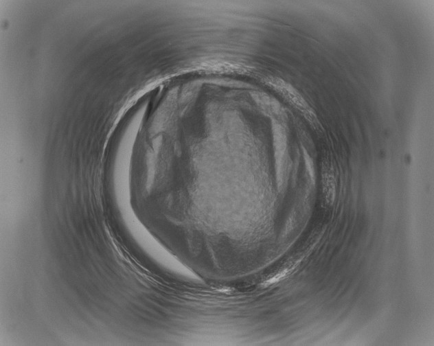 X0000081610488200702051358