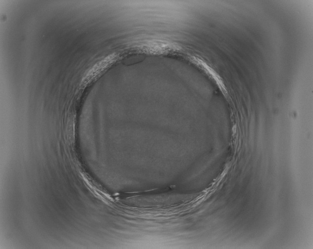 X0000081610493200702051358