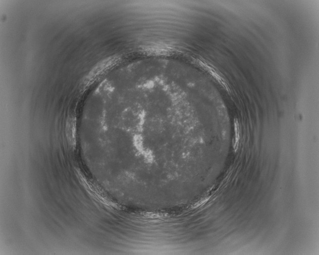 X0000081610494200702051358