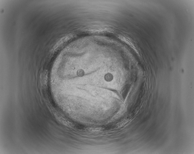 X0000081610495200702051358