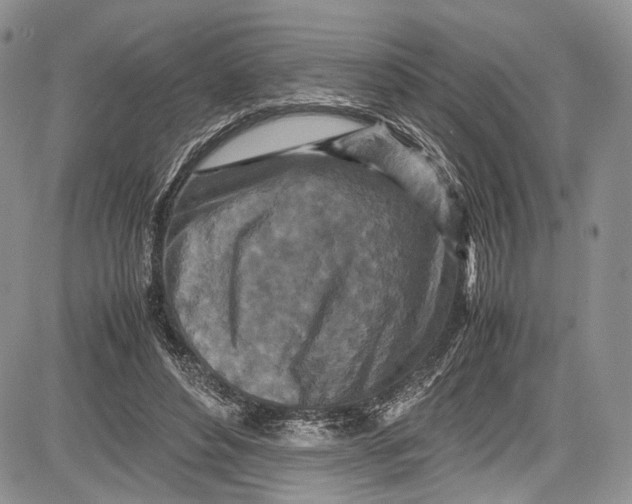 X0000081610496200702051358