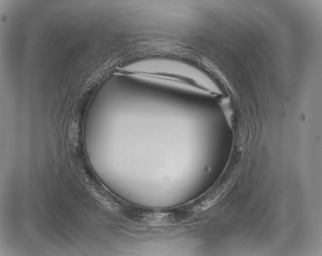 X0000081610497200702051358