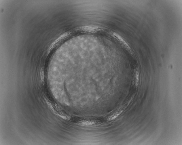 X0000081610500200702051358