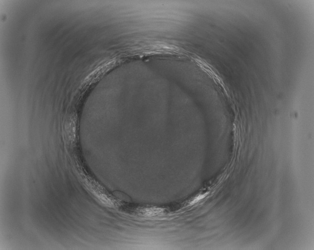 X0000081610501200702051358