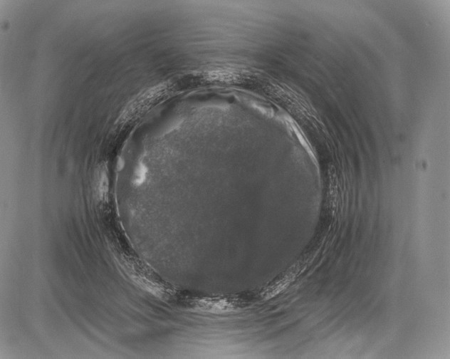 X0000081610502200702051358