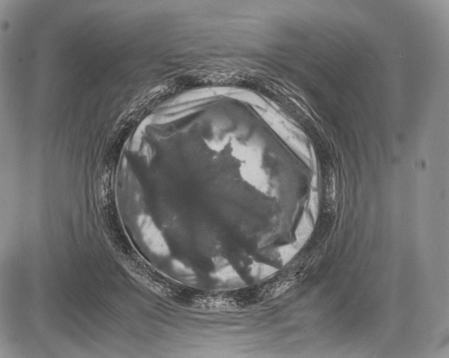 X0000081610503200702051358