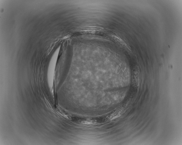 X0000081610504200702051358