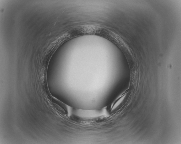 X0000081610505200702051358