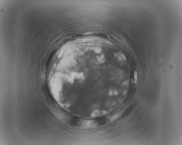 X0000081610507200702051358