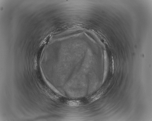 X0000081610508200702051358