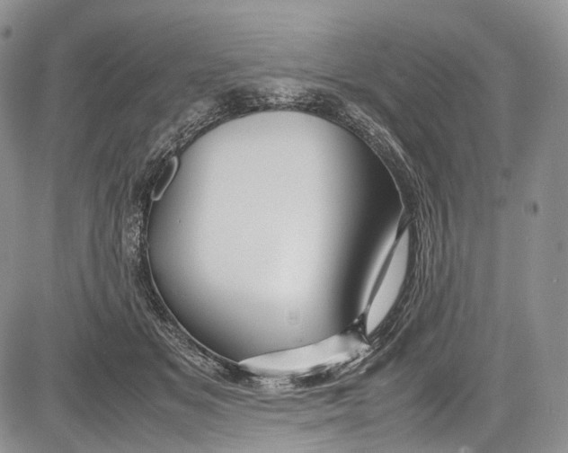 X0000081610509200702051357