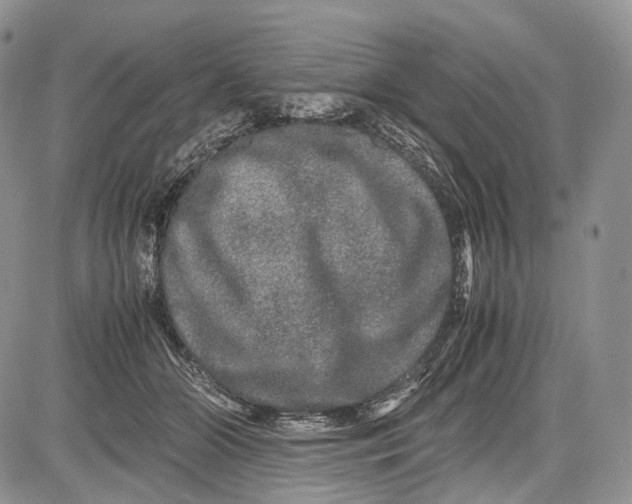 X0000081610510200702051357