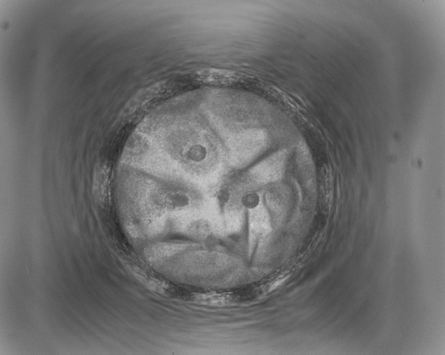 X0000081610511200702051357