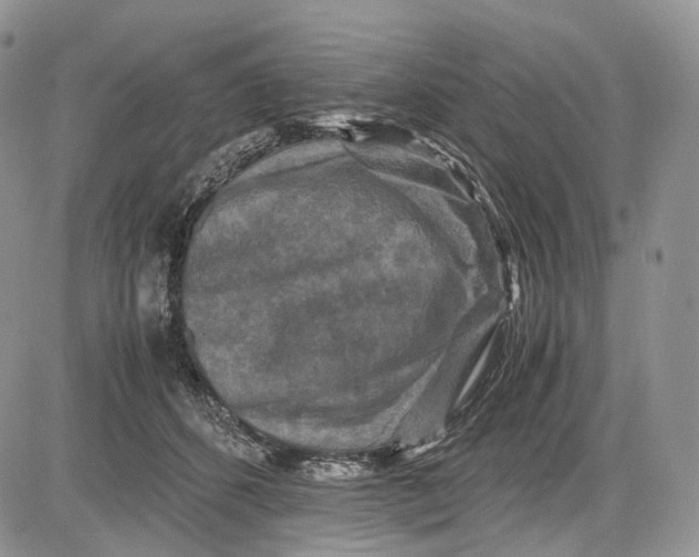 X0000081610512200702051357