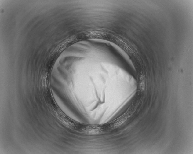 X0000081610514200702051357