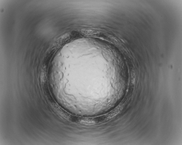 X0000081610515200702051357