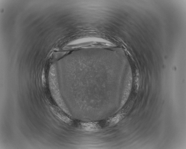 X0000081610516200702051357