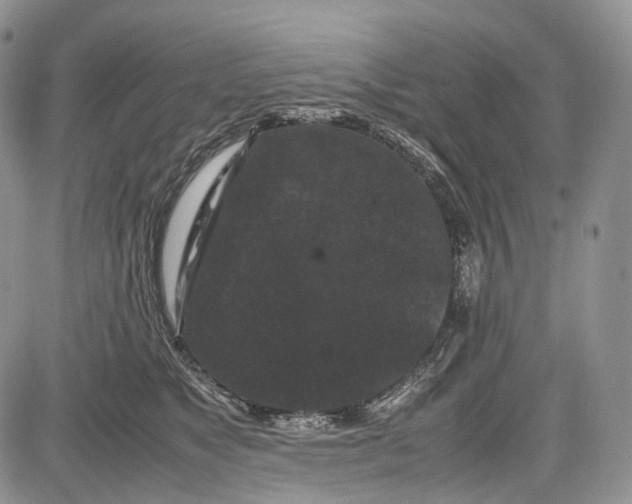 X0000081610517200702051357