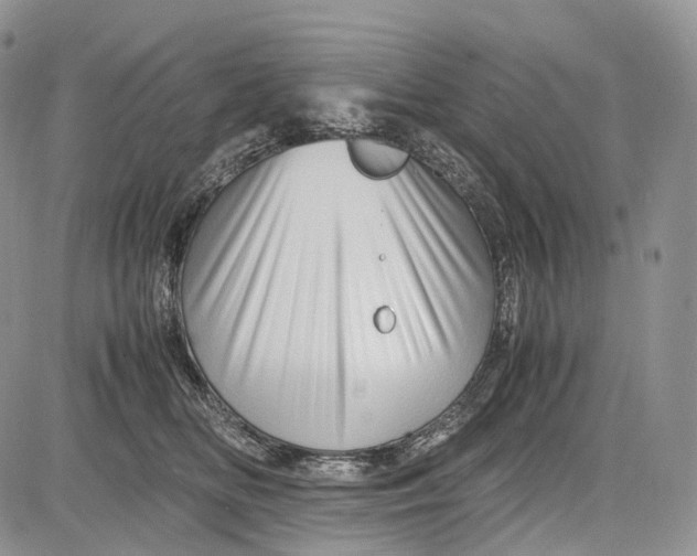 X0000081610518200702051357