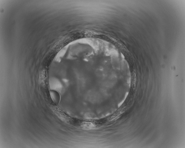 X0000081610519200702051357