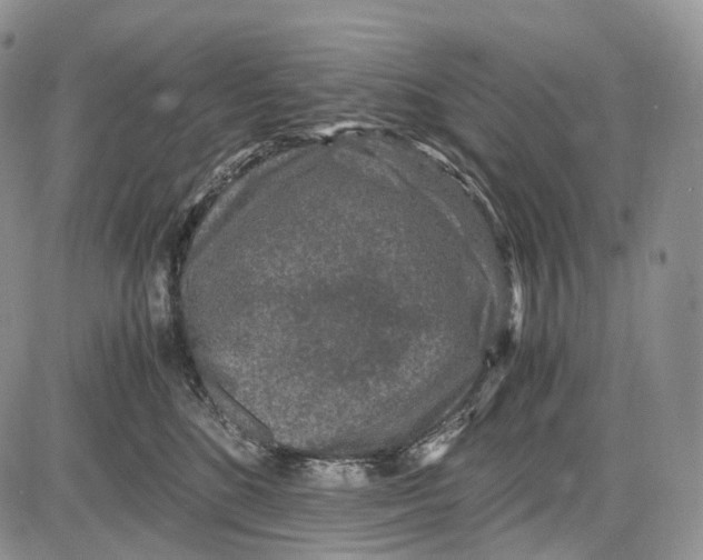 X0000081610520200702051357