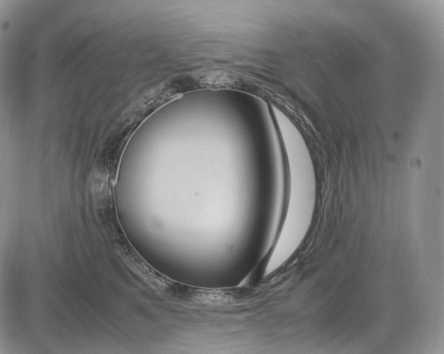 X0000081610521200702051357