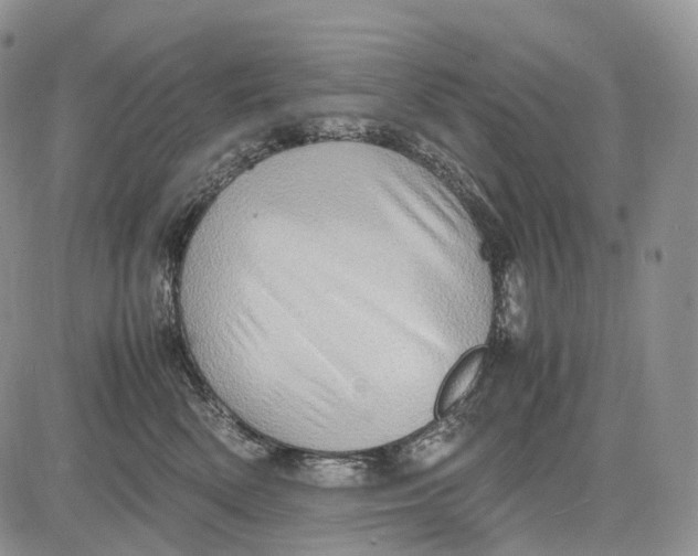 X0000081610522200702051357