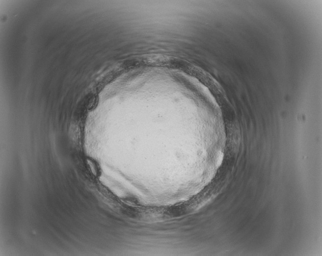 X0000081610523200702051357