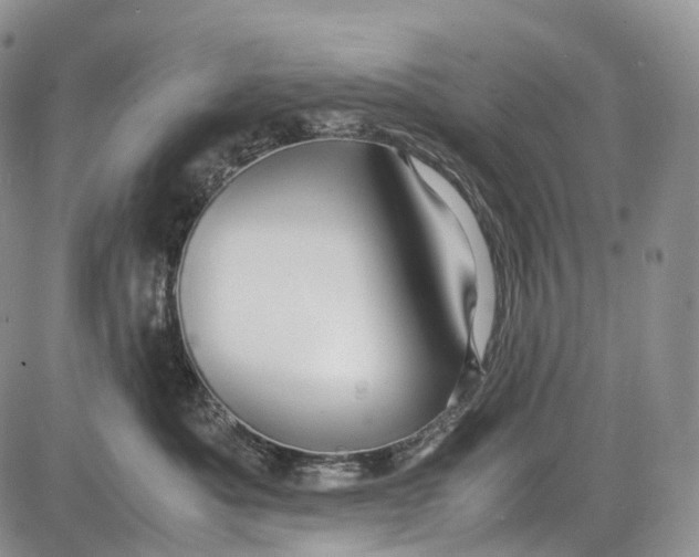 X0000081610525200702051357