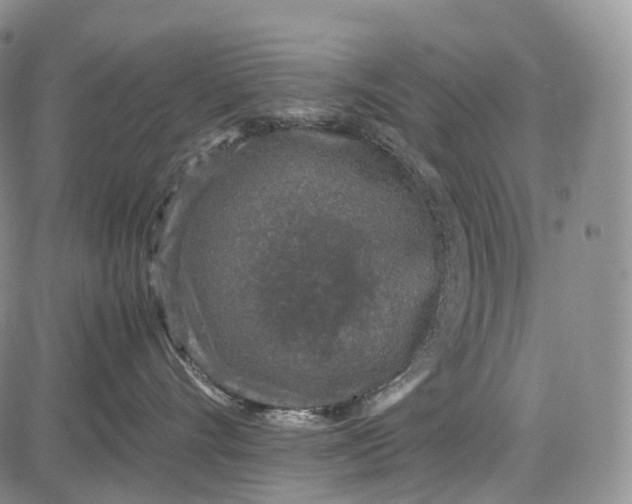 X0000081610528200702051357