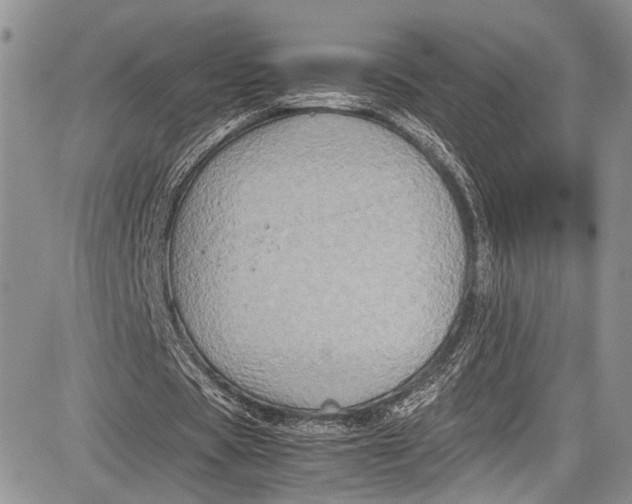 X0000081610529200702051356