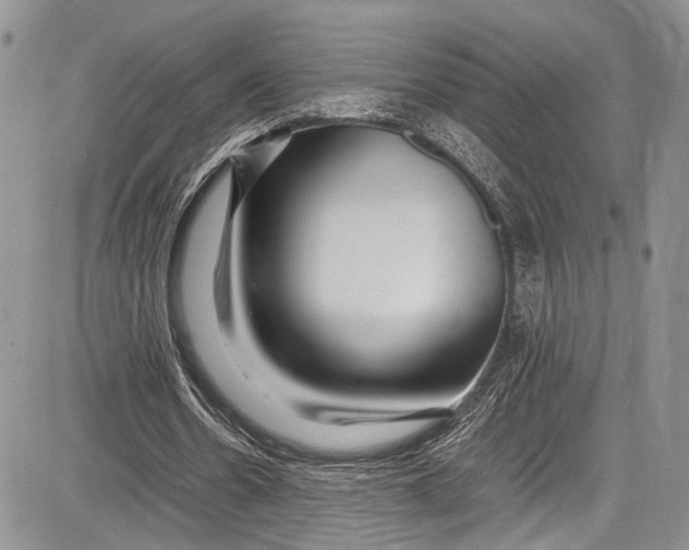 X0000081610530200702051356