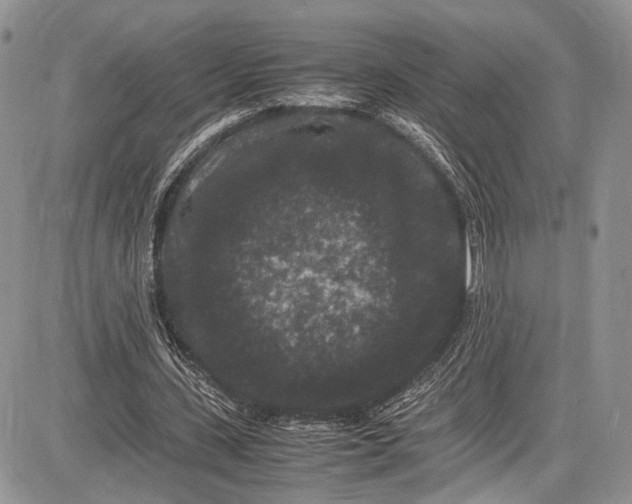 X0000081610531200702051356