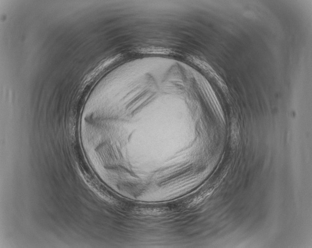 X0000081610533200702051356