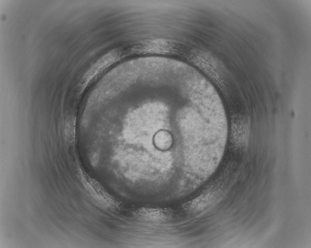 X0000081610534200702051356