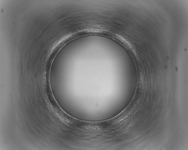 X0000081610535200702051356