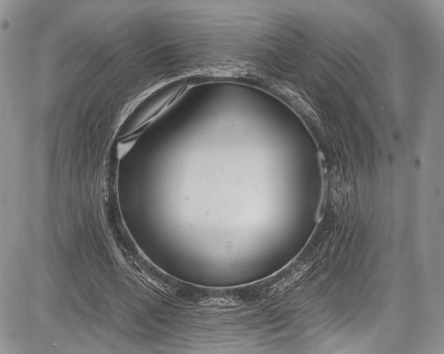 X0000081610536200702051357