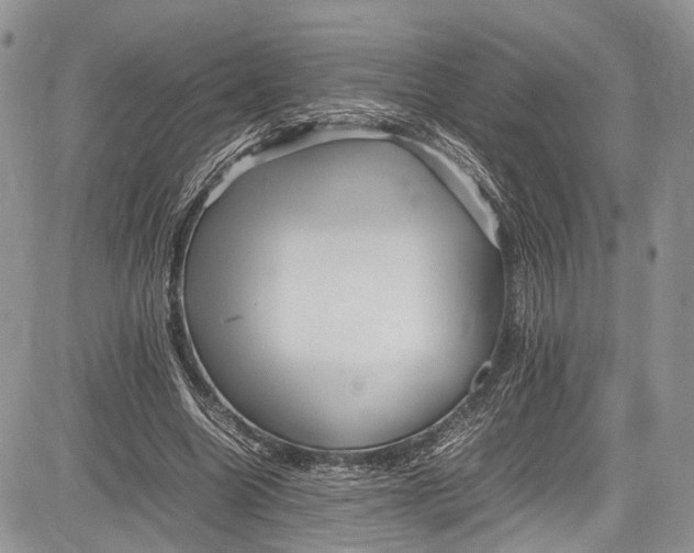 X0000081610538200702051357